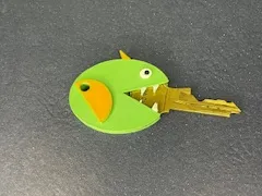 dragon key cover