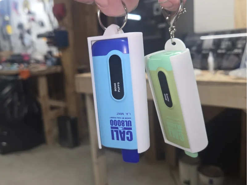 Cali Bar 8000 holder for leash