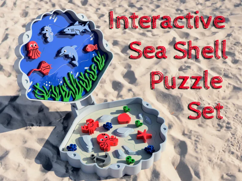 Interactive Sea Shell Puzzle Set