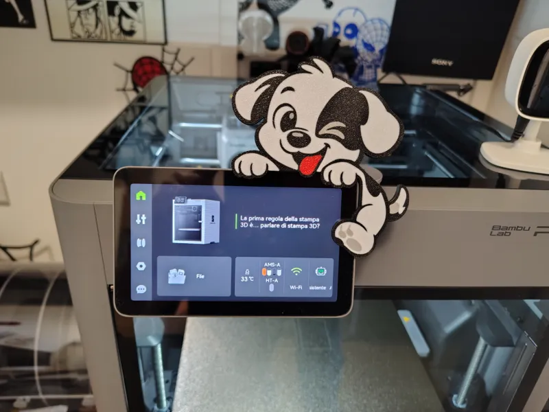 cute little dog