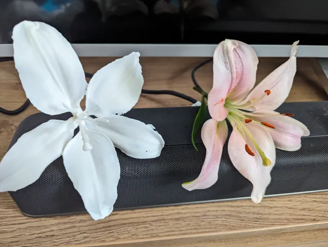 Lily Flower (3d scanned real flower)
