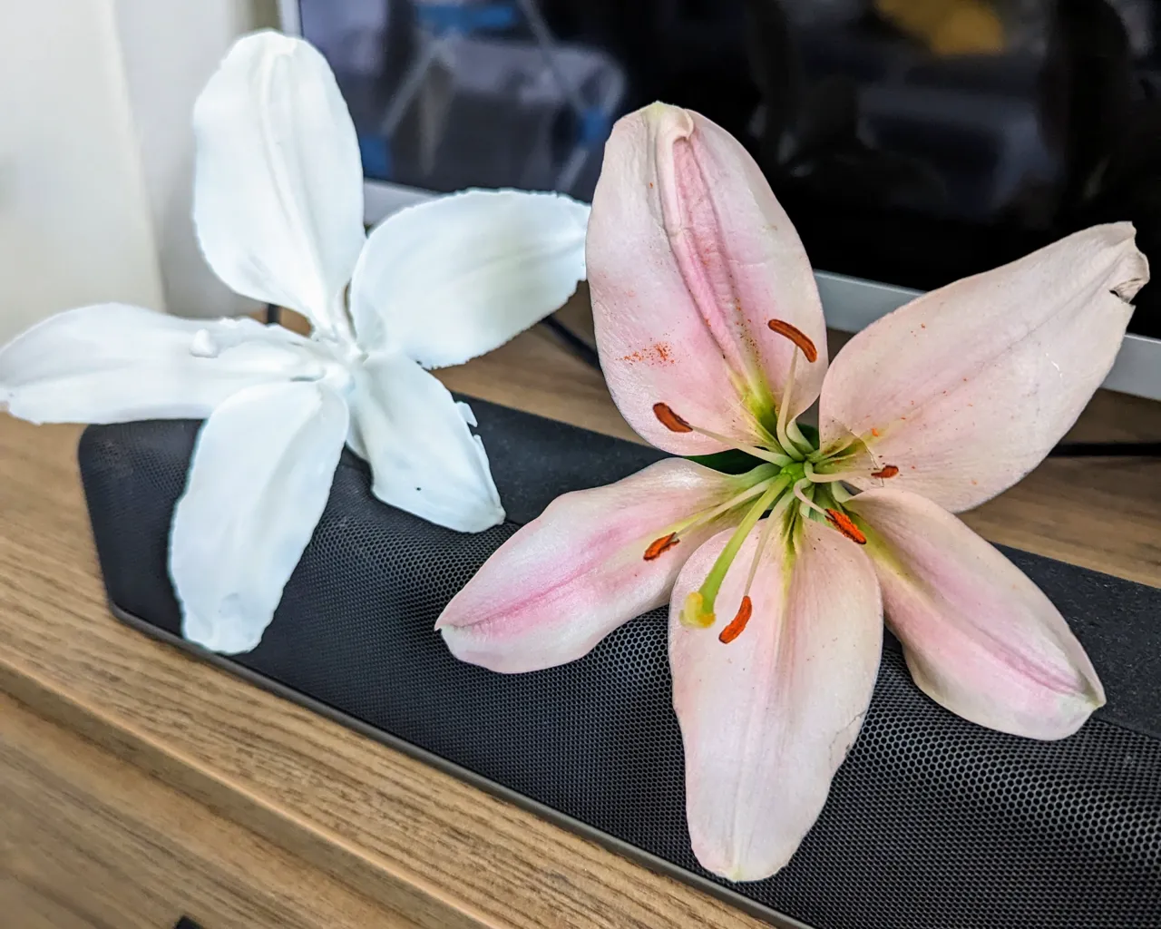 Lily Flower (3d scanned real flower) view 4