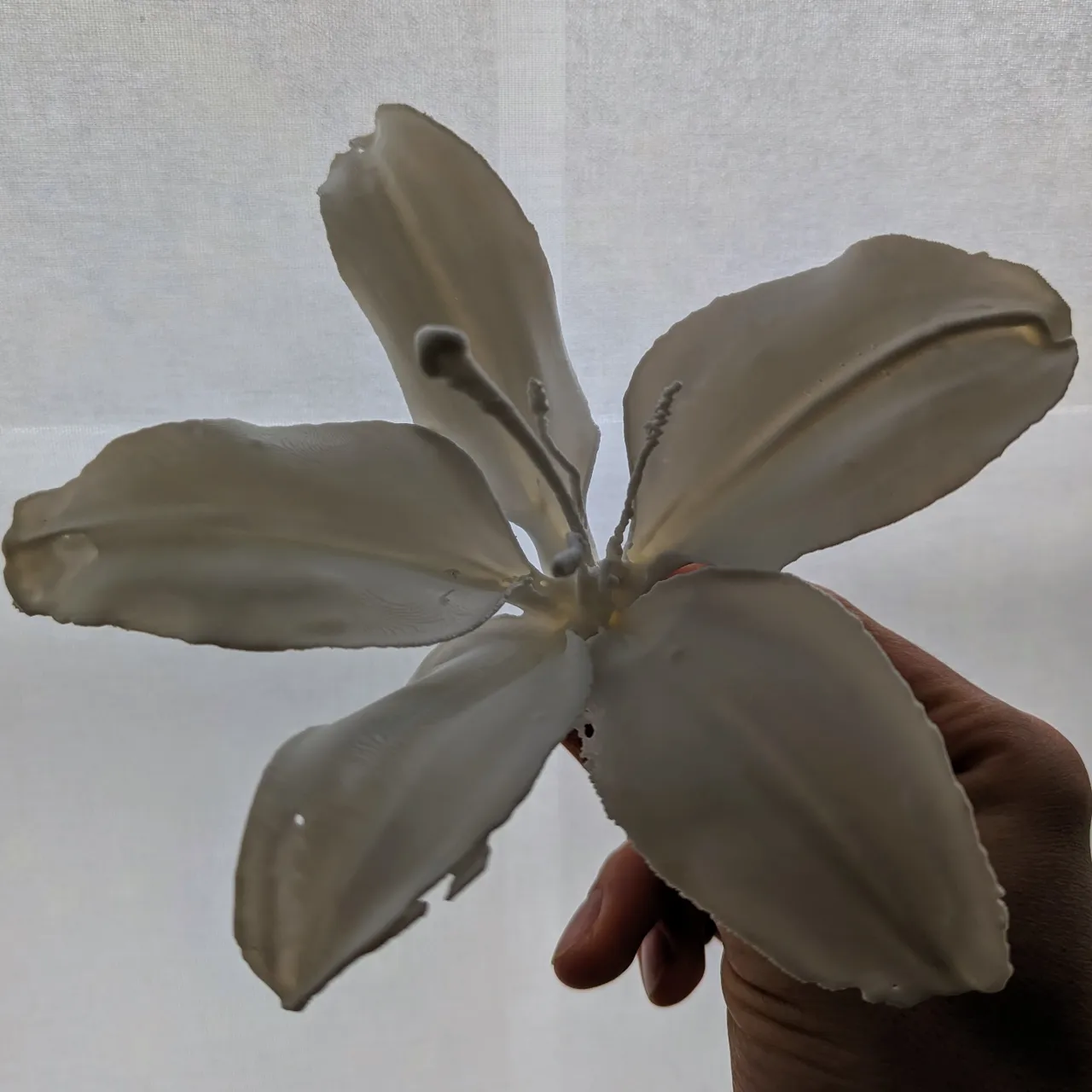 Lily Flower (3d scanned real flower) view 3