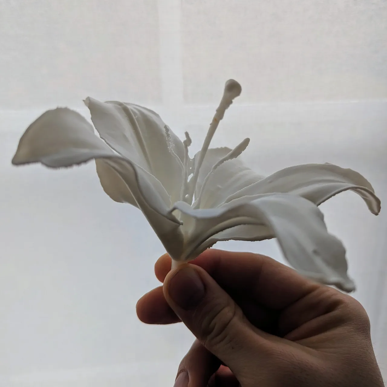 Lily Flower (3d scanned real flower) view 2