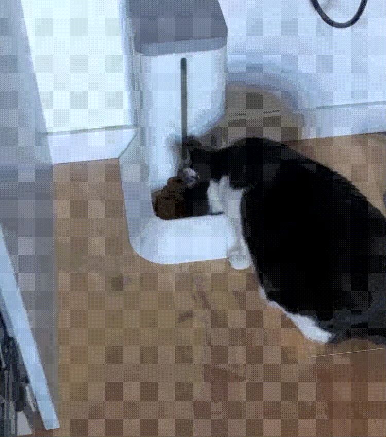 Gravity cat feeder