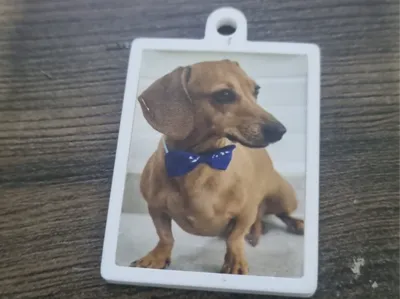 Chaceiro Key Chain Pet Lover