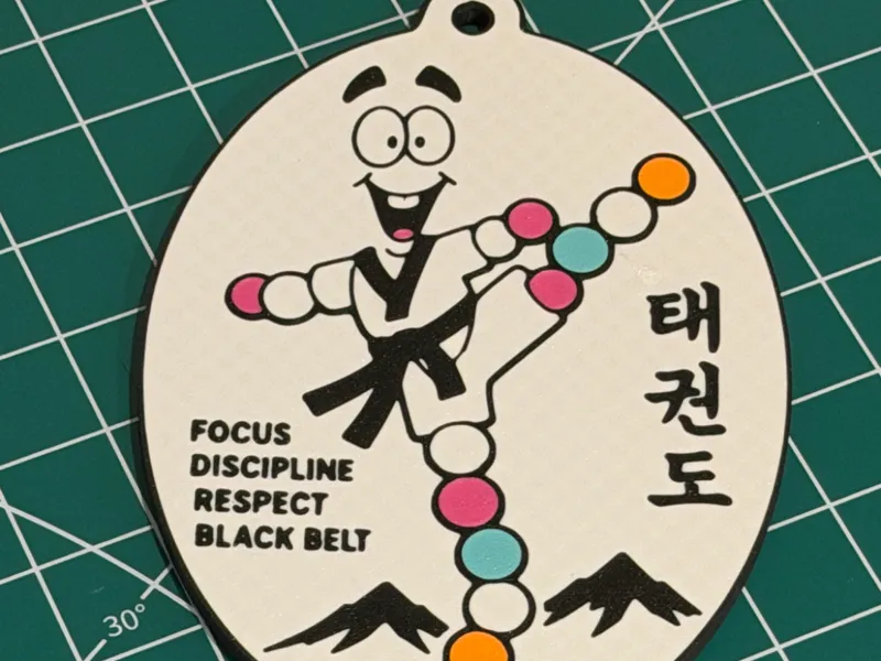 Mr DNA Taekwondo decoration