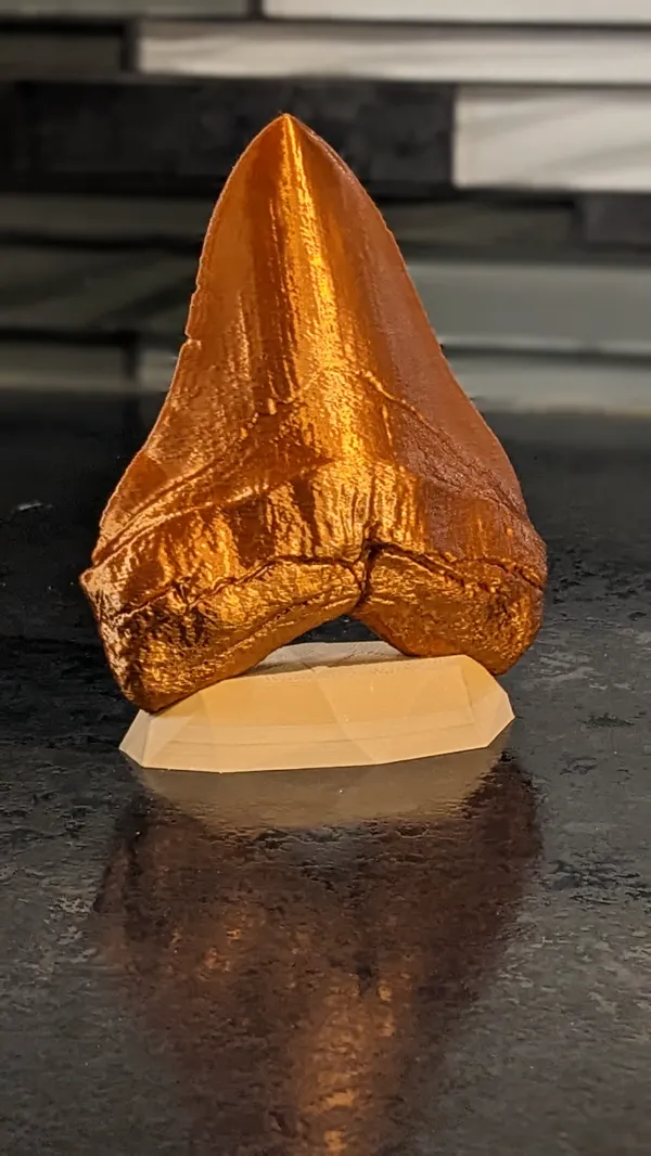 https://makerworld.bblmw.com/makerworld/model/USac6d17712cd155/design/2024-02-03_56bdb1fb40979.jpg