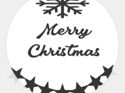 Christmas ornament 