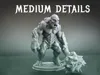Medium Details