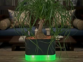 doppelter Blumentopf mit Selbstbewässerung
