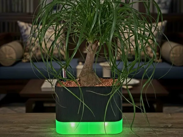 https://makerworld.bblmw.com/makerworld/model/USac712ce101bf39/design/2026-01-03_e89ef2b8825d.jpg