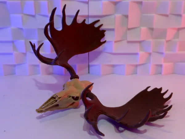 https://makerworld.bblmw.com/makerworld/model/USac76330bd47298/design/2026-01-02_55a59c4ace4658.jpg