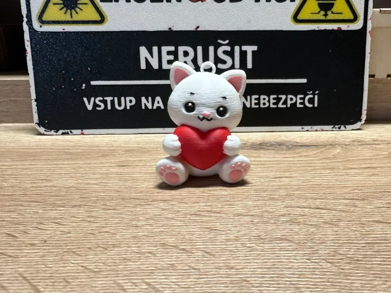 Cute Valentine Cat