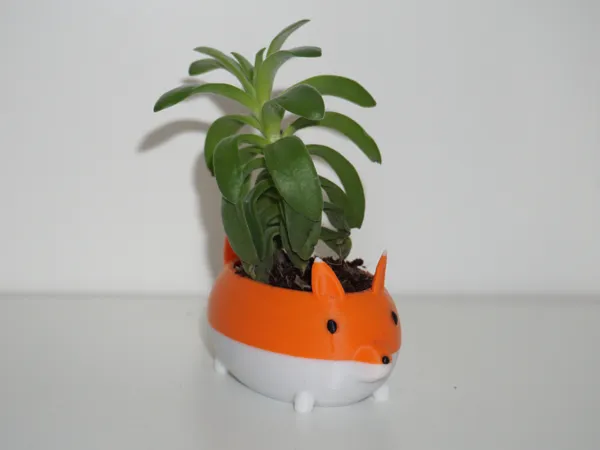 https://makerworld.bblmw.com/makerworld/model/USac829c64836575/design/2025-03-22_5324b016319ac.jpg