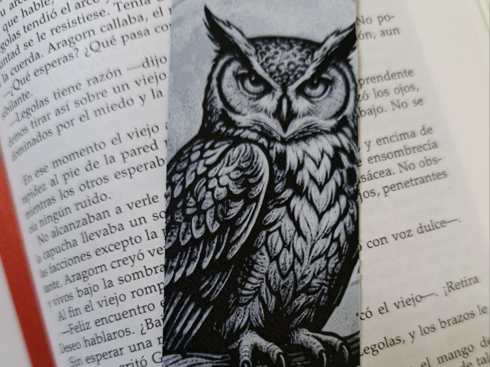 Búho Guardián Nocturno