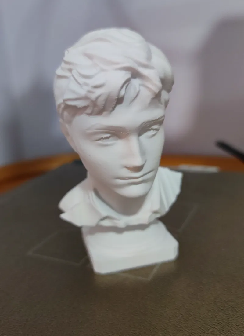 Busto Harry Potter