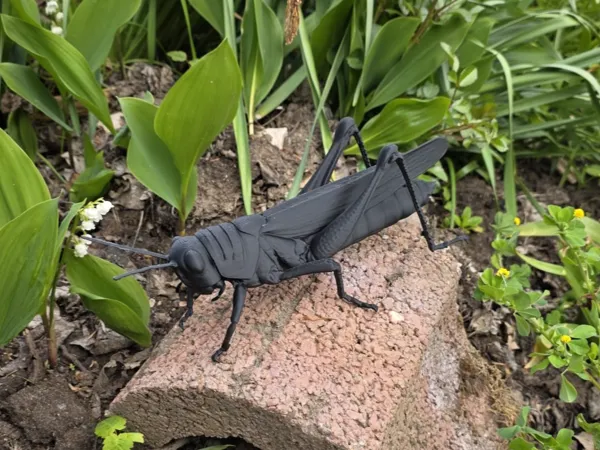 https://makerworld.bblmw.com/makerworld/model/USac87ebd004251b/design/9a745f1cbf71efce.jpg