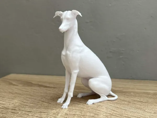 https://makerworld.bblmw.com/makerworld/model/USac8f65af0c406a/design/644df478e826d208.jpg