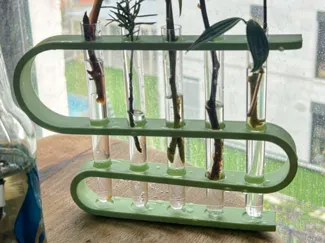 test tube stand