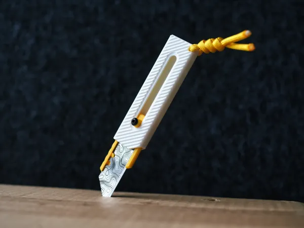 https://makerworld.bblmw.com/makerworld/model/USac9658e03d916/design/2024-10-23_7167262857952.jpeg