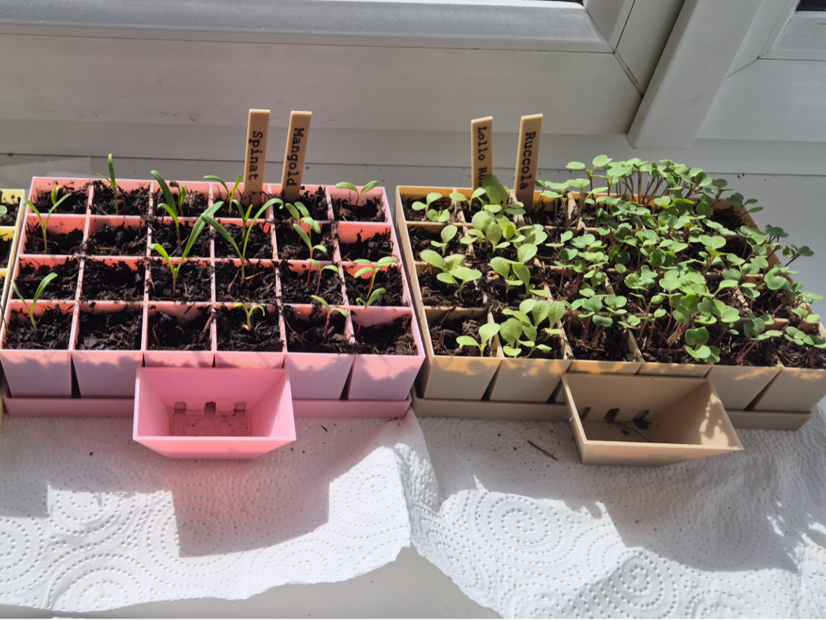 Fully Parametric Plant Seed Starter System
