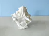 0.2mm layer, 1 wall, 7% infill