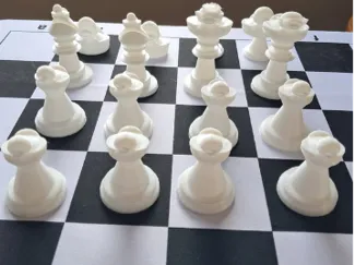 Duck Chess