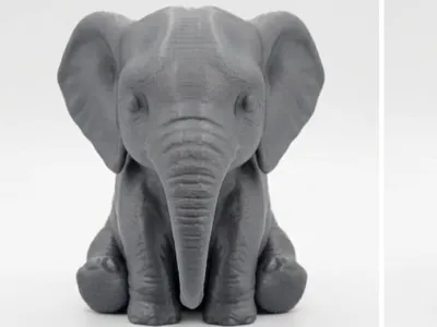 Cute Baby Elephant