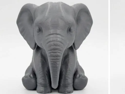 Cute Baby Elephant