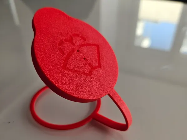 https://makerworld.bblmw.com/makerworld/model/USacafae0d8481d/design/2025-06-14_f73fe0890eb4e8.jpg