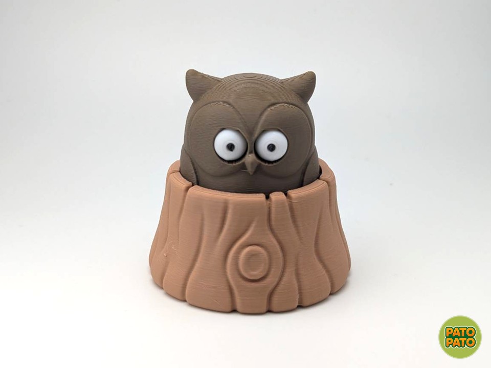 Pop-Eyed Owl - 1