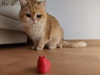 Cat loaf - cat model and toy