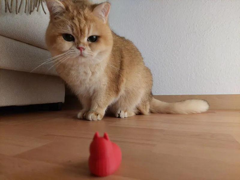 Cat loaf - cat model and toy