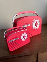 MINI RADIO P1S