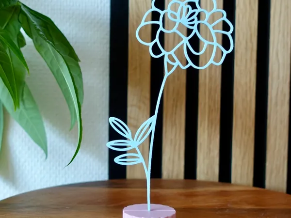 https://makerworld.bblmw.com/makerworld/model/USacb5df7266f619/design/2025-09-17_1055fb61a77998.jpg