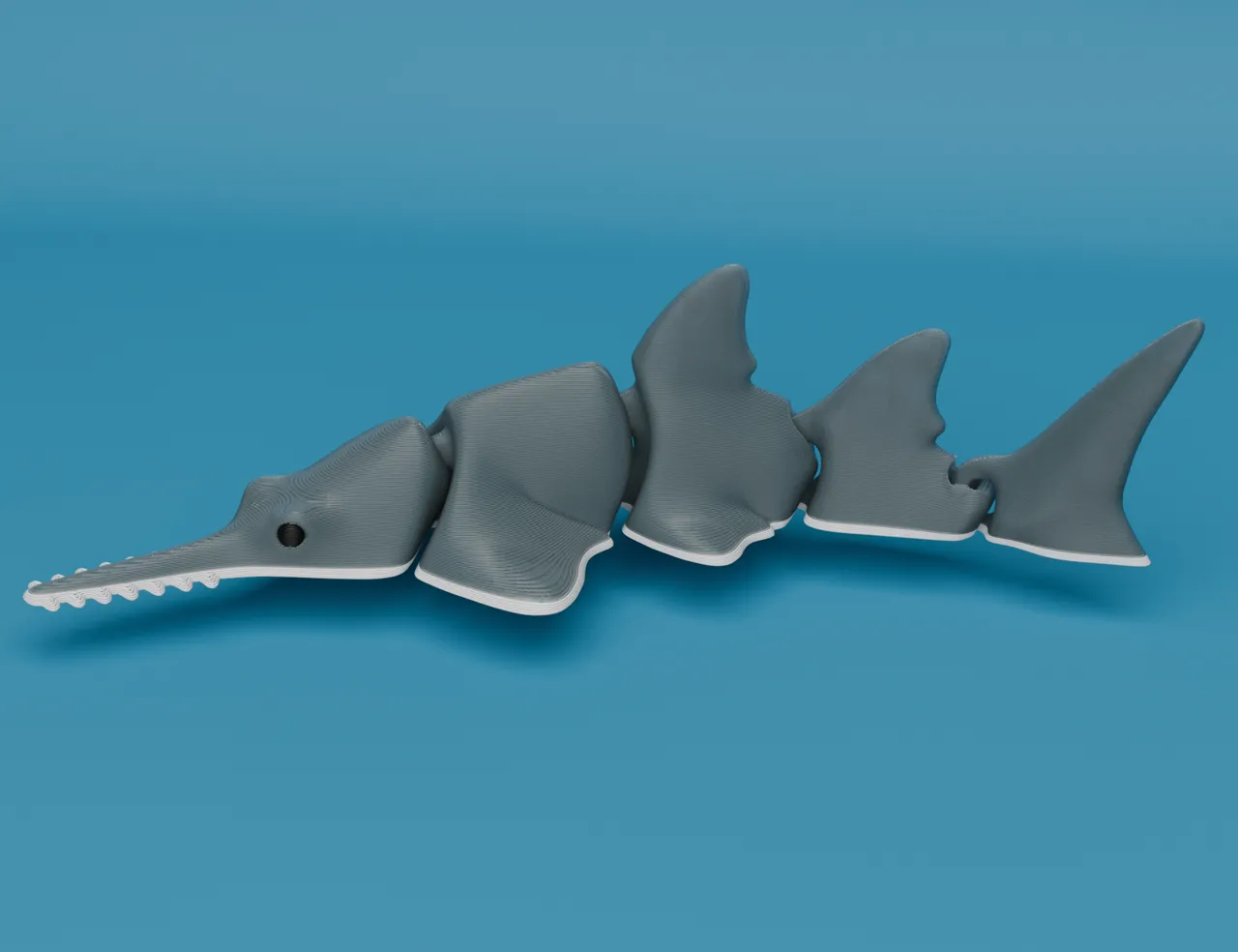 Articulated Sawfish (Carpenter shark) view 2