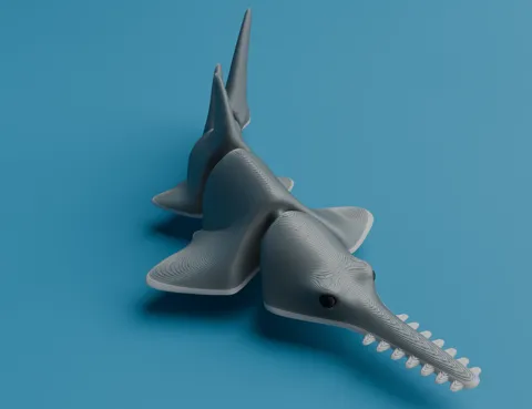 Articulated Sawfish (Carpenter shark) view 3