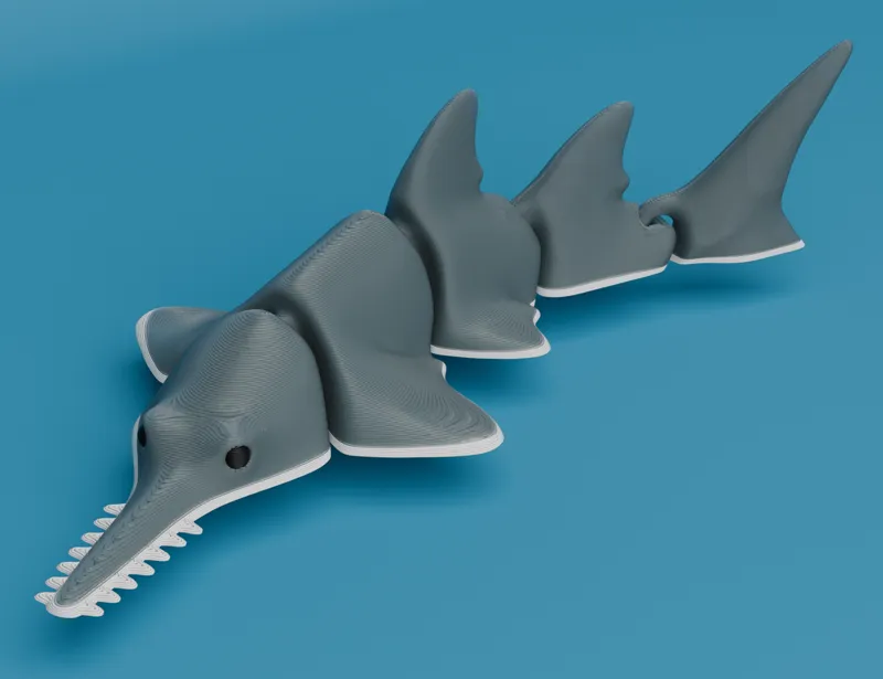 Articulated Sawfish (Carpenter shark)