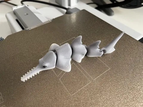 Articulated Sawfish (Carpenter shark) view 4