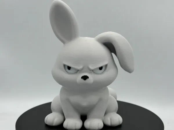https://makerworld.bblmw.com/makerworld/model/USacbb264d1b768/design/fb05e0c512459218.jpeg