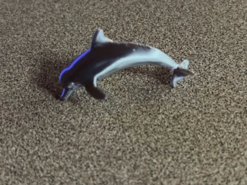 Dolphin