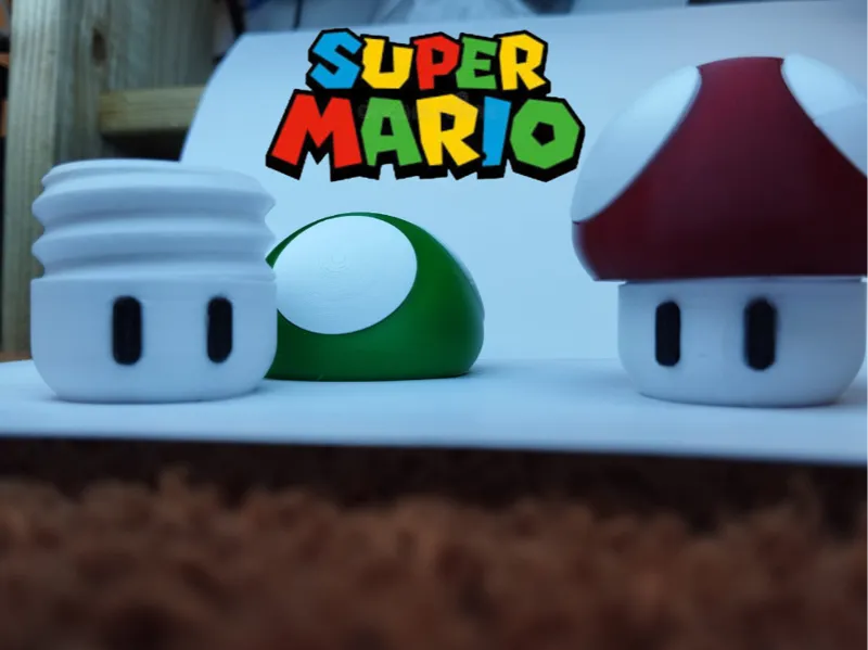 SuperMario Mushroom-Secret Compartment