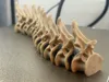 AMS Multicolour 0.2mm layer, 3 walls, 5% infill