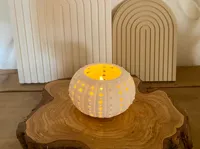 Seeigel