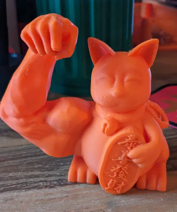 https://makerworld.bblmw.com/makerworld/model/USacc53fca936284/design/2024-02-09_bdf4cbda34f19.jpg