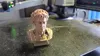 0.12mm layer, 2 walls, 15% infill