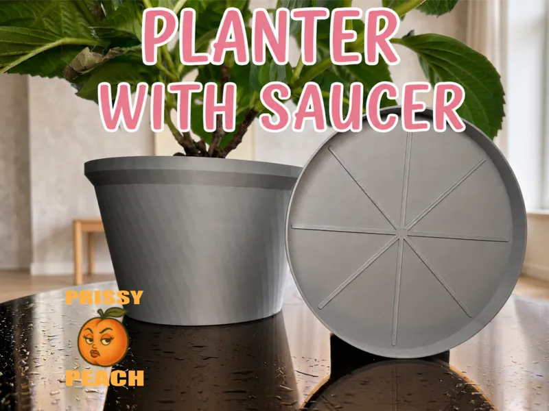 Planter with Drainage and Saucer