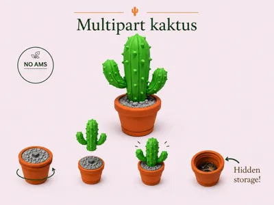 Multipart Kaktus with hidden storage