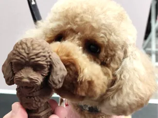Busto Caniche Toy